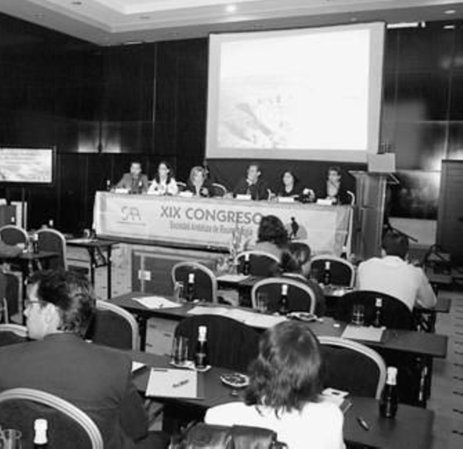 Un momento del congreso de reumatología celebrado en Punta Umbría.