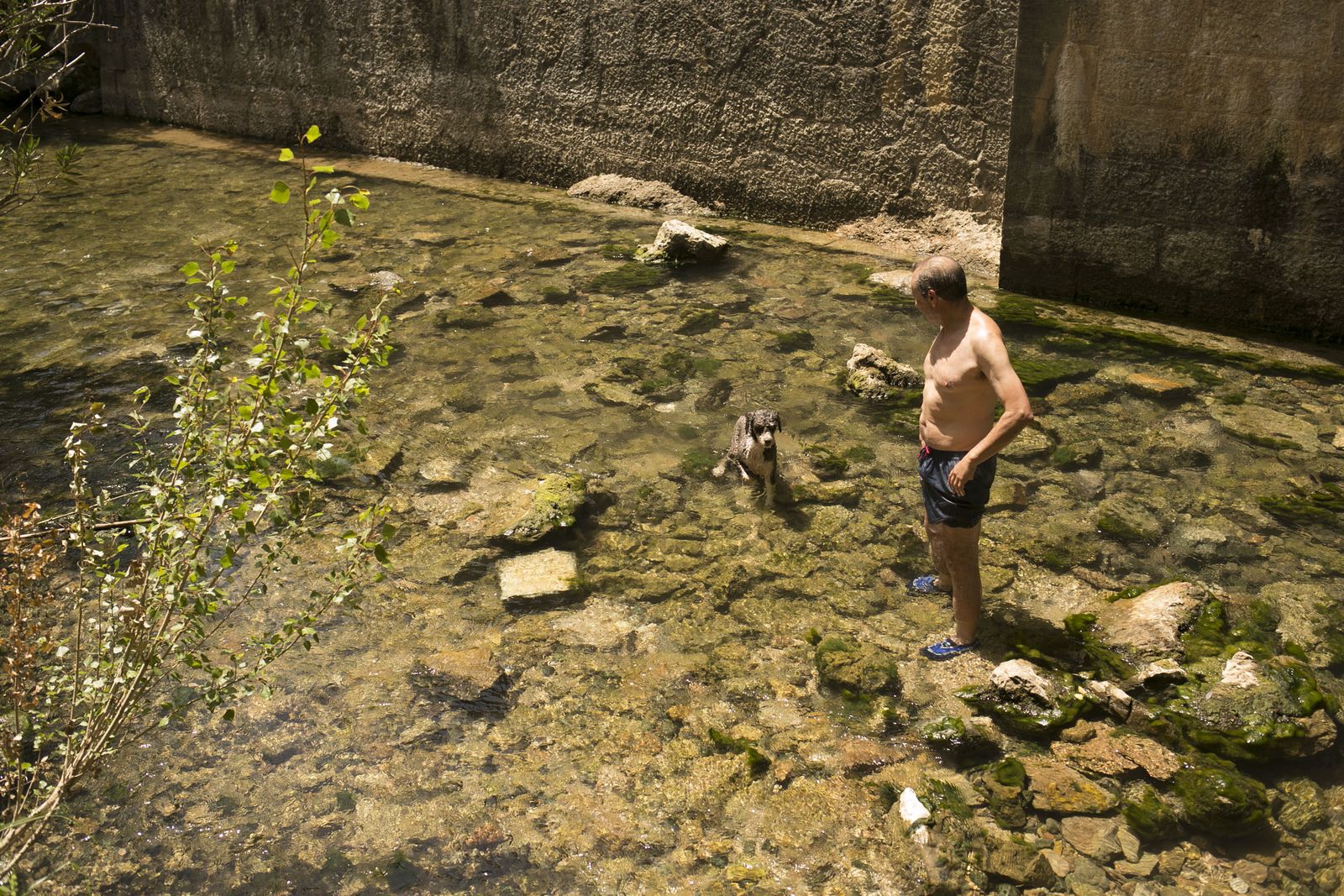 Un hombre se baña junto a un perro en una zona de la Cueva del Gato