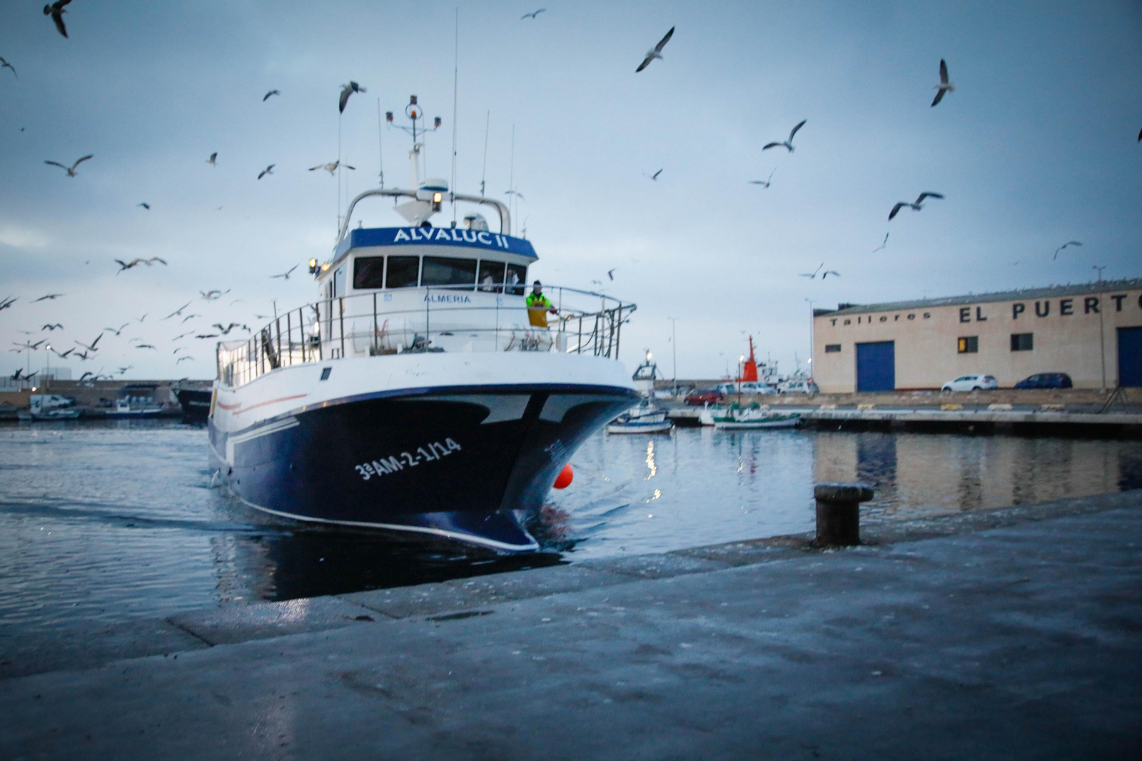 Te contamos en imágenes como ha sido la descarga de las traiñas en la lonja de Almería
