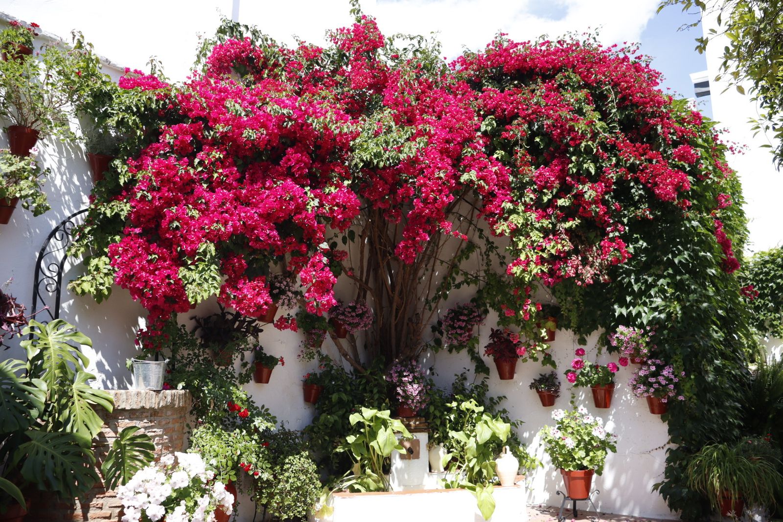 Ruta de los patios de San Lorenzo