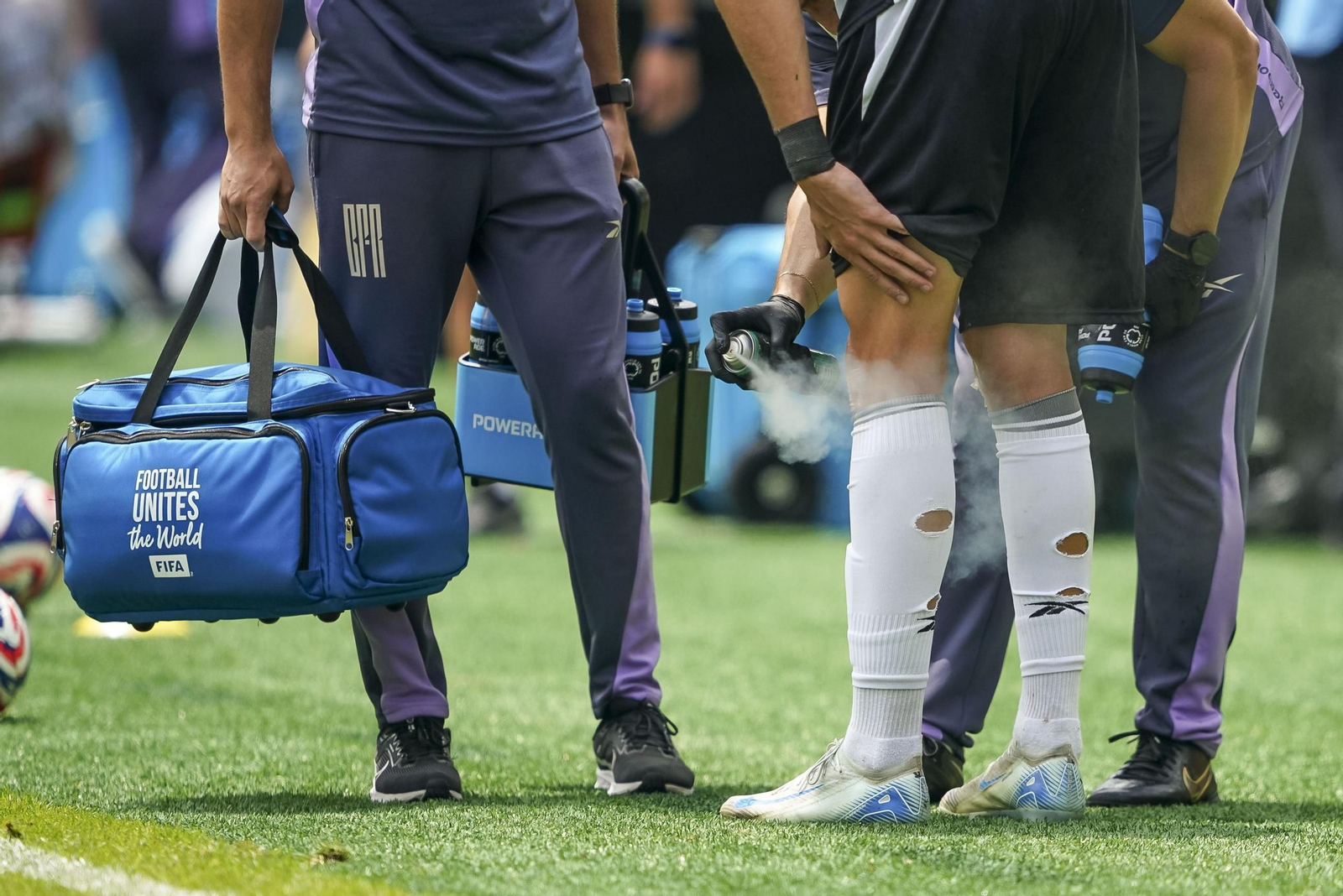 Palmeiras-Botafogo (2).jpg