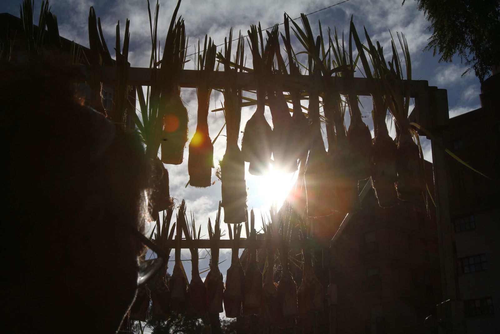 La procesión de San Sebastian en Imágenes.