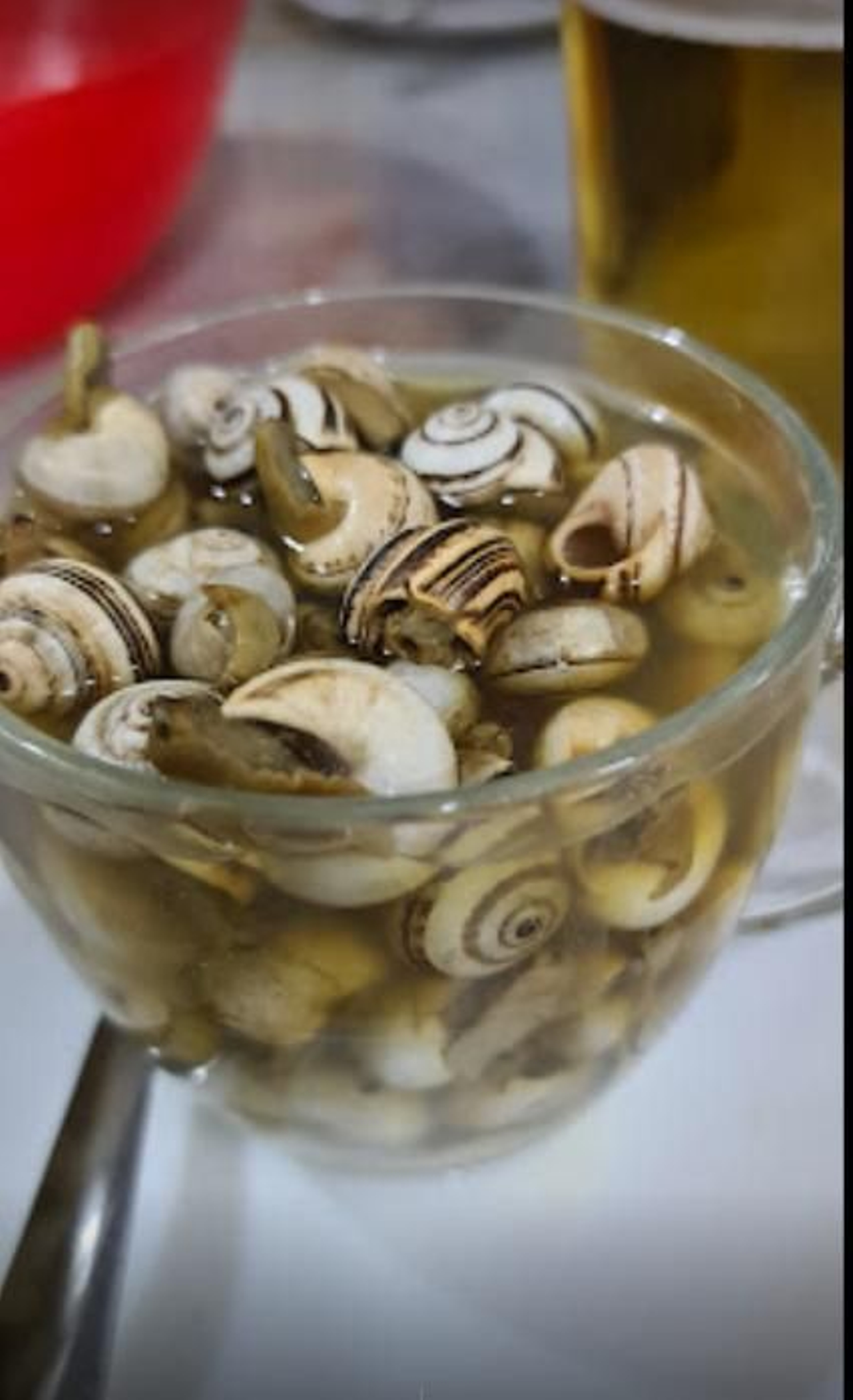 Vasito de caracoles del Bar Matías.