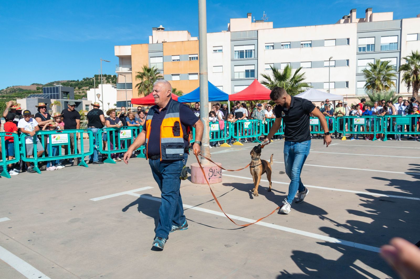¿Has estado en el primer desfile solidario de mascotas celebrado en Motril?