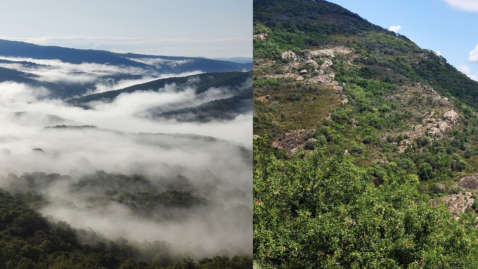 Izqda. Vistas del Hozgarganta desde la plataforma rocosa que contiene el abrigo de los Machos; Dcha. Panorámica del flysch que contiene el abrigo de los Machos, donde se aprecia el escaso buzamiento de los estratos