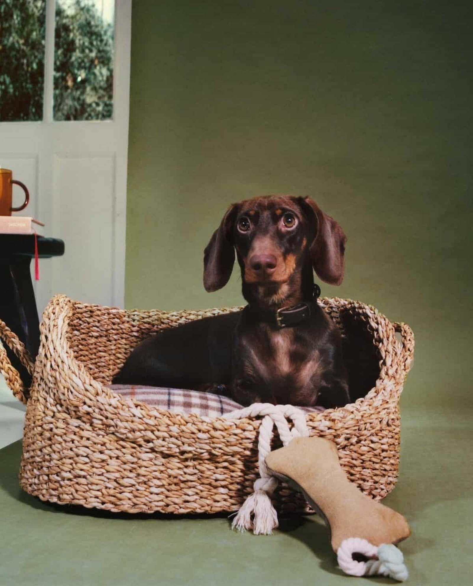 Camita para perros de Zara Home.