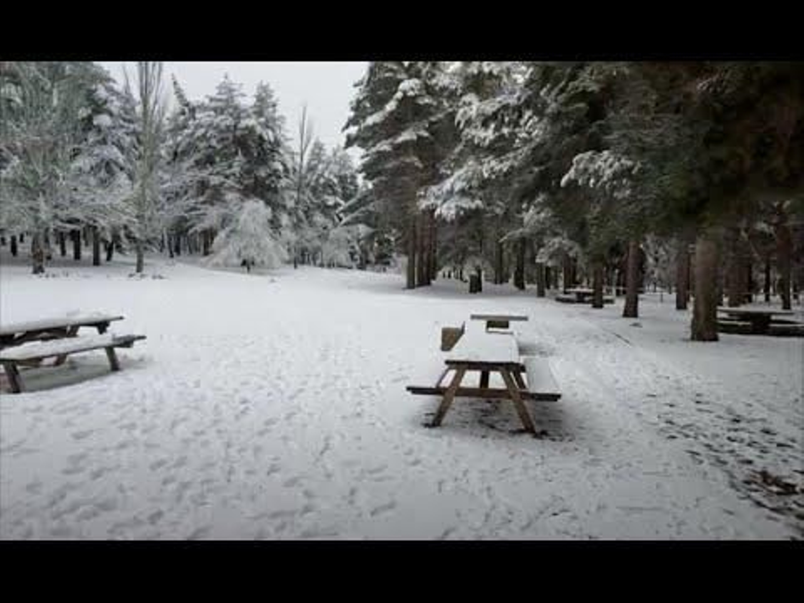 Nieve en el Puerto de la Ragua