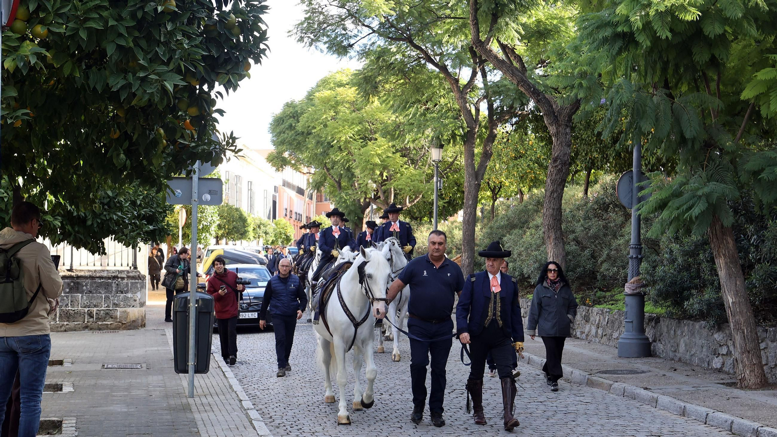 Imágenes de los caballos y jinetes de la Real Escuela hacia el funeral de Álvaro Domecq