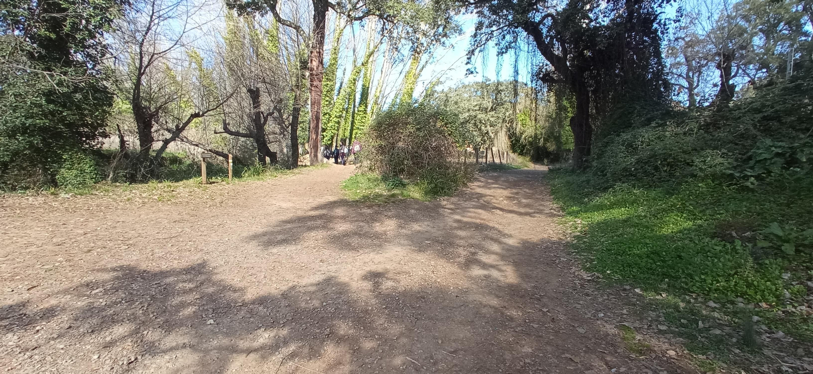 Las imágenes de la ruta de la cascada de Jollarancos y bosque de las letras