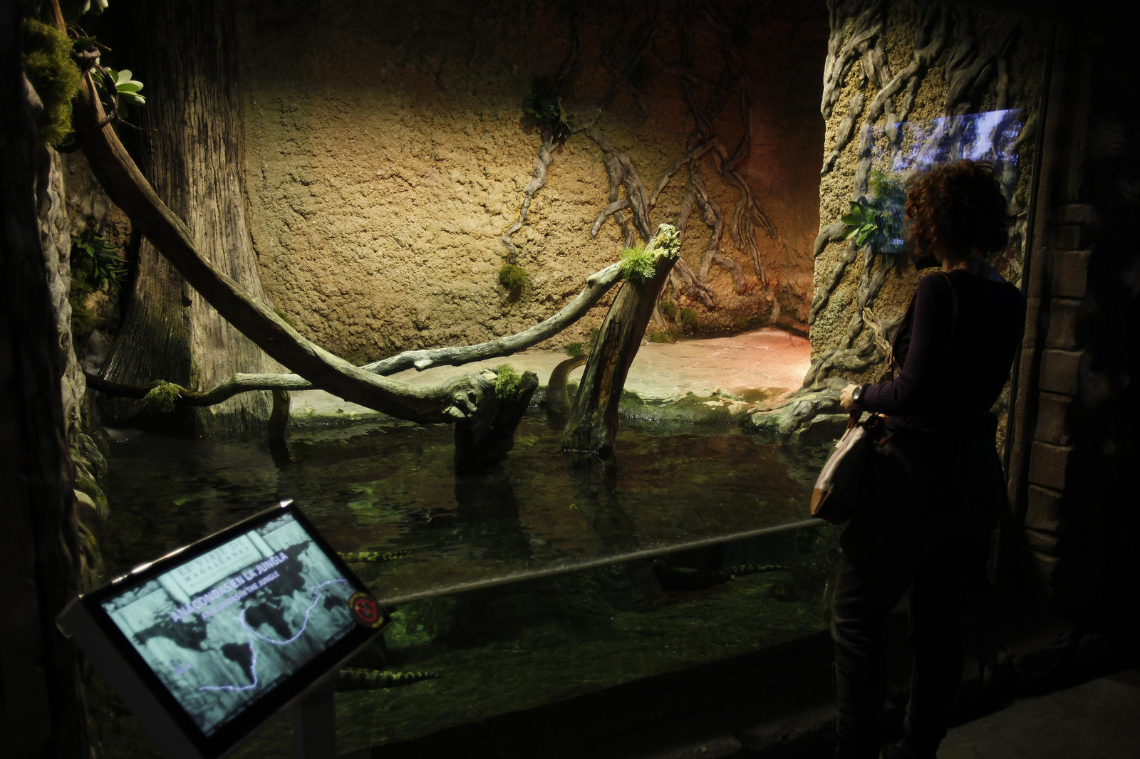 Semana de la Educación Ambiental en el Acuario de Sevilla