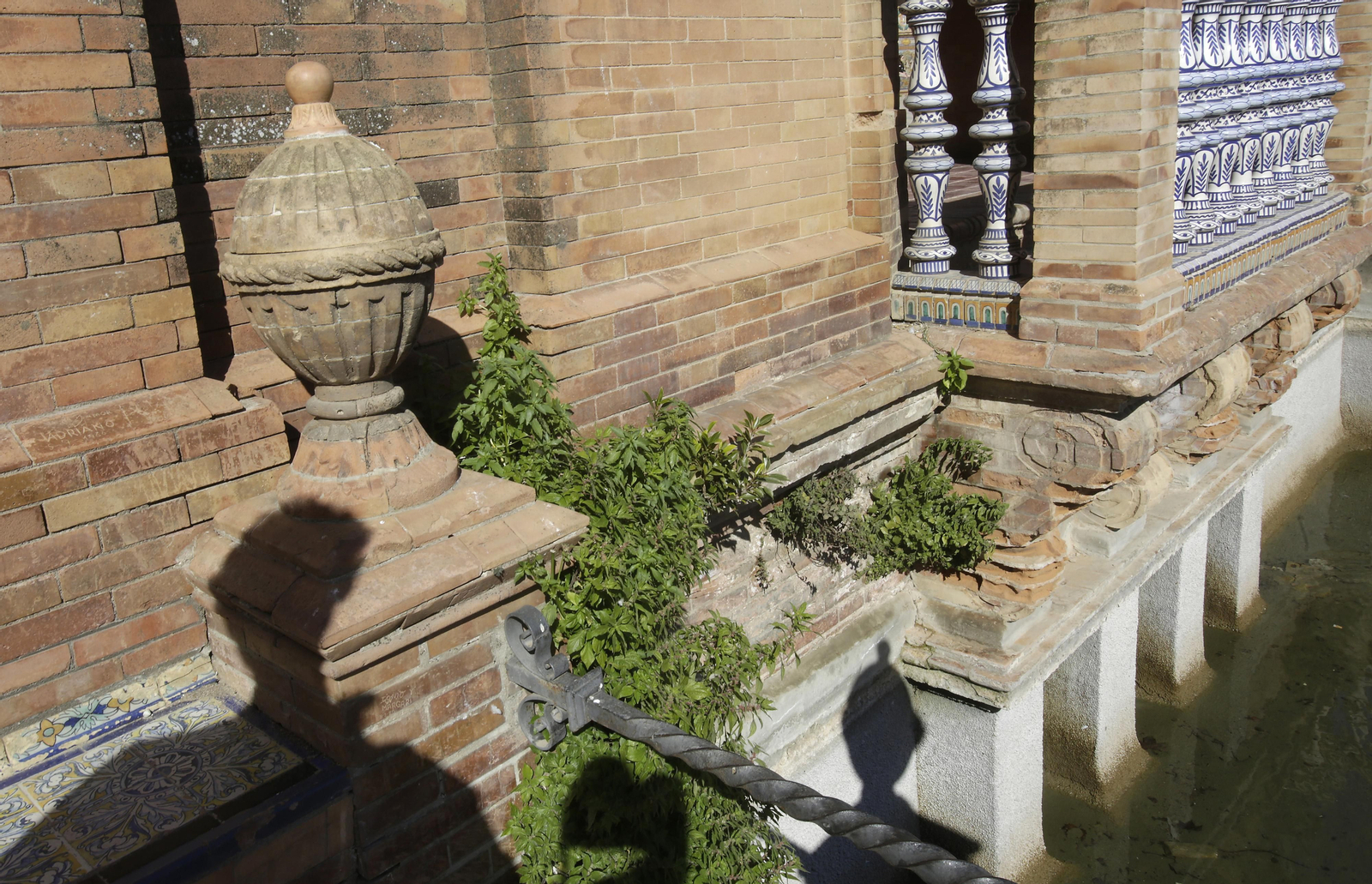Mal estado de los arriates y plantas en la Plaza de España