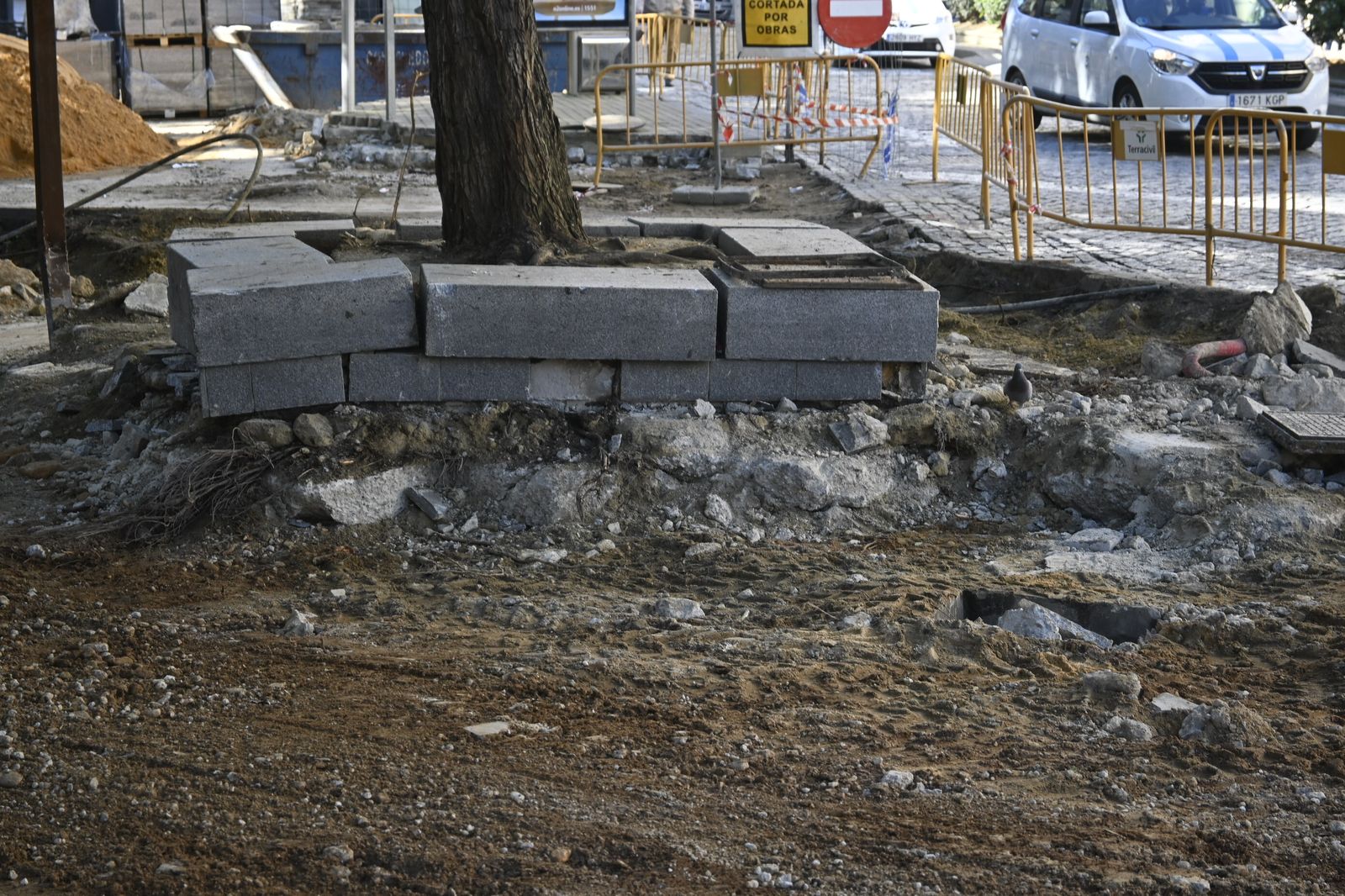 Obras en la Palmera en imágenes