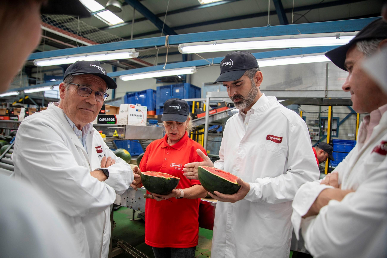 Vea cómo es el trabajo con las fantásticas sandías Premium en Grupo Caparrós