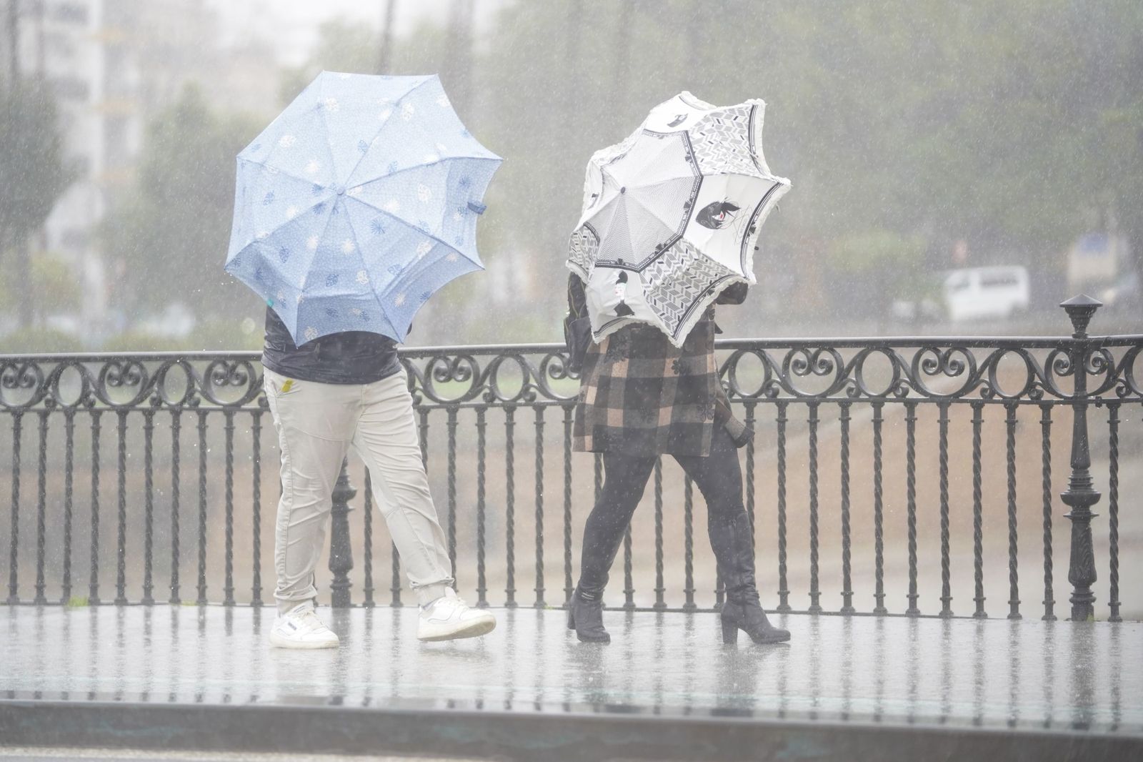 La intensa lluvia en Sevilla al paso de la Borrasca Leonardo en fotos