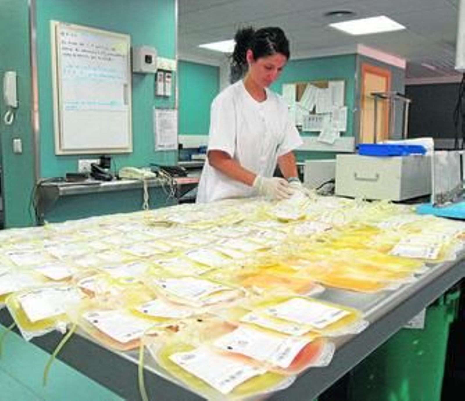 Los puestos itinerantes de donaciones de sangre recorren en verano toda la provincia.