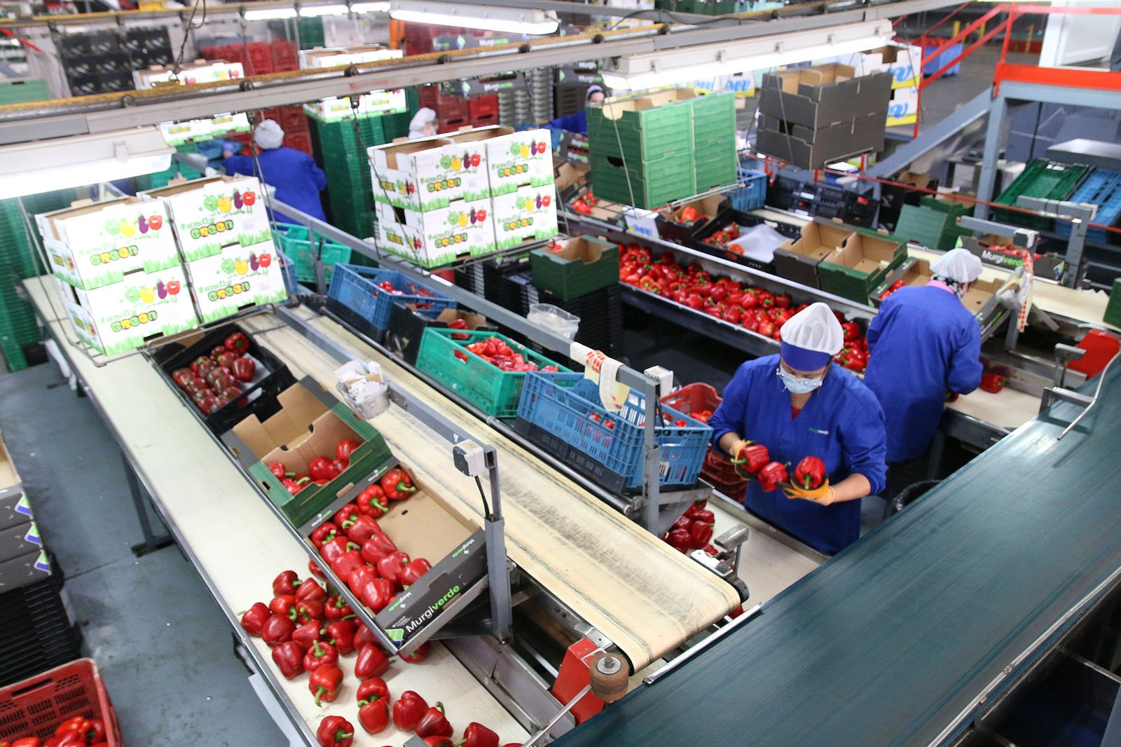 Fotogalería Juanma Moreno visita la cooperativa Murgiverde