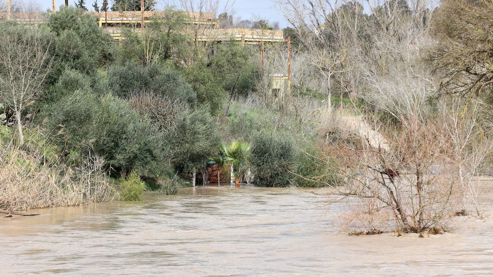 Así afronta la zona rural de Jerez la subida del río Guadalete