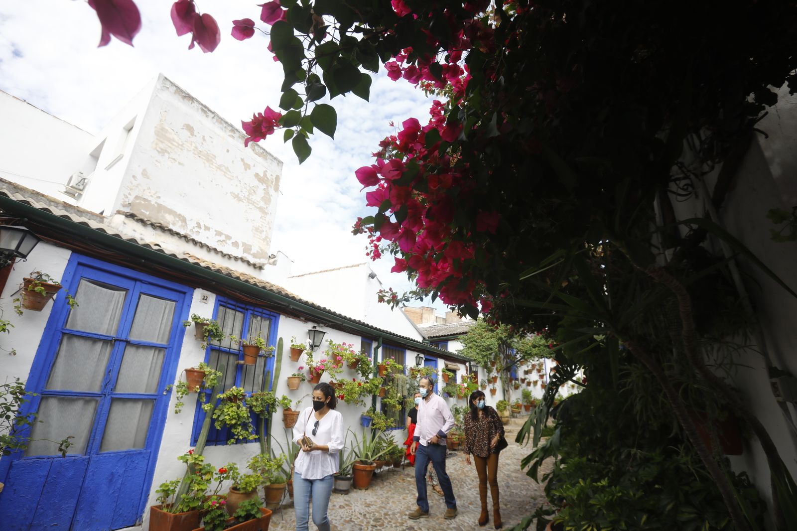 Las fotografías del primer día de apertura de los Patios de Córdoba en otoño