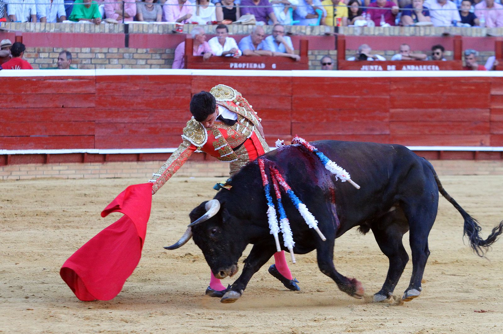 Imágenes de la Novillada de Rafael Serna, Emilio Silvera y Rodrigo Molina.