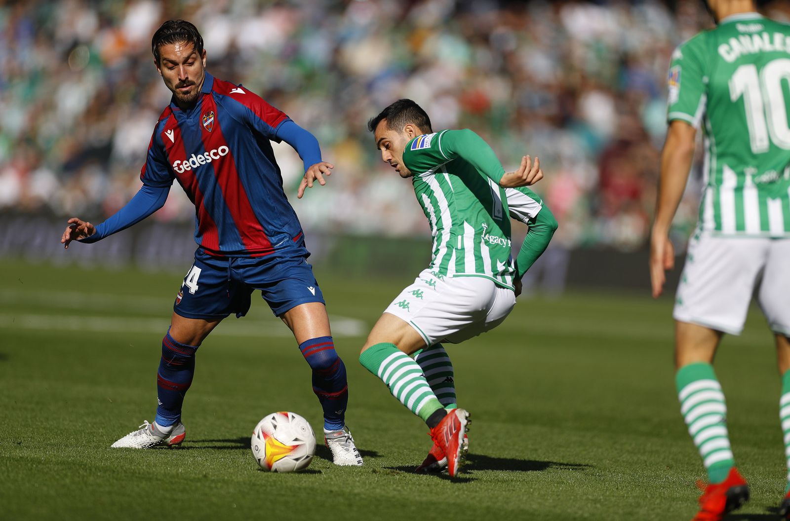 Las imágenes del Betis-Levante