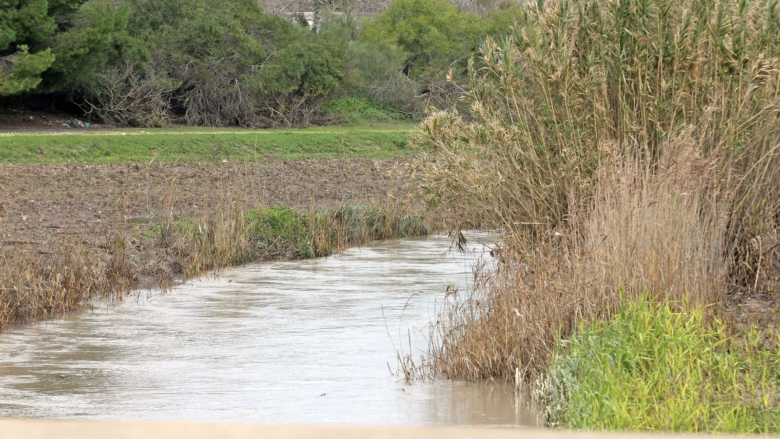 El Guadalete comienza a bajar su nivel poco a poco por la zona rural de Jerez
