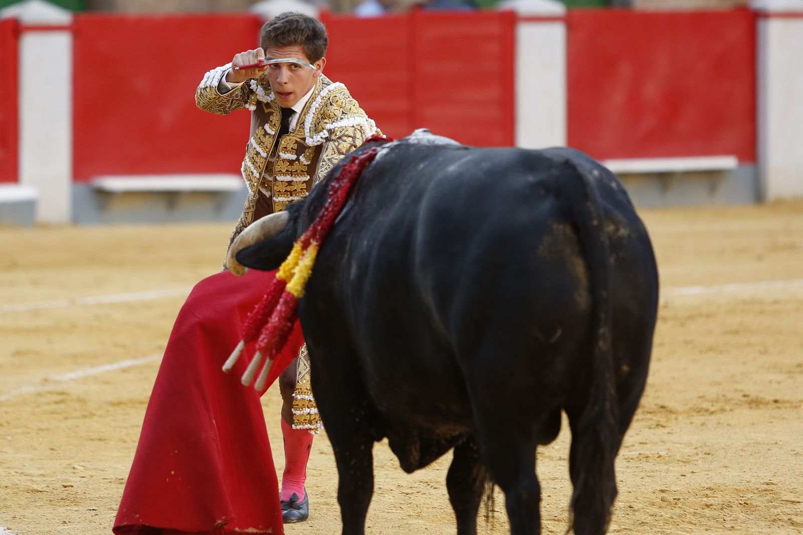 El torero jerezano Ginés Marín entra a matar a su oponente en la segunda de abono.