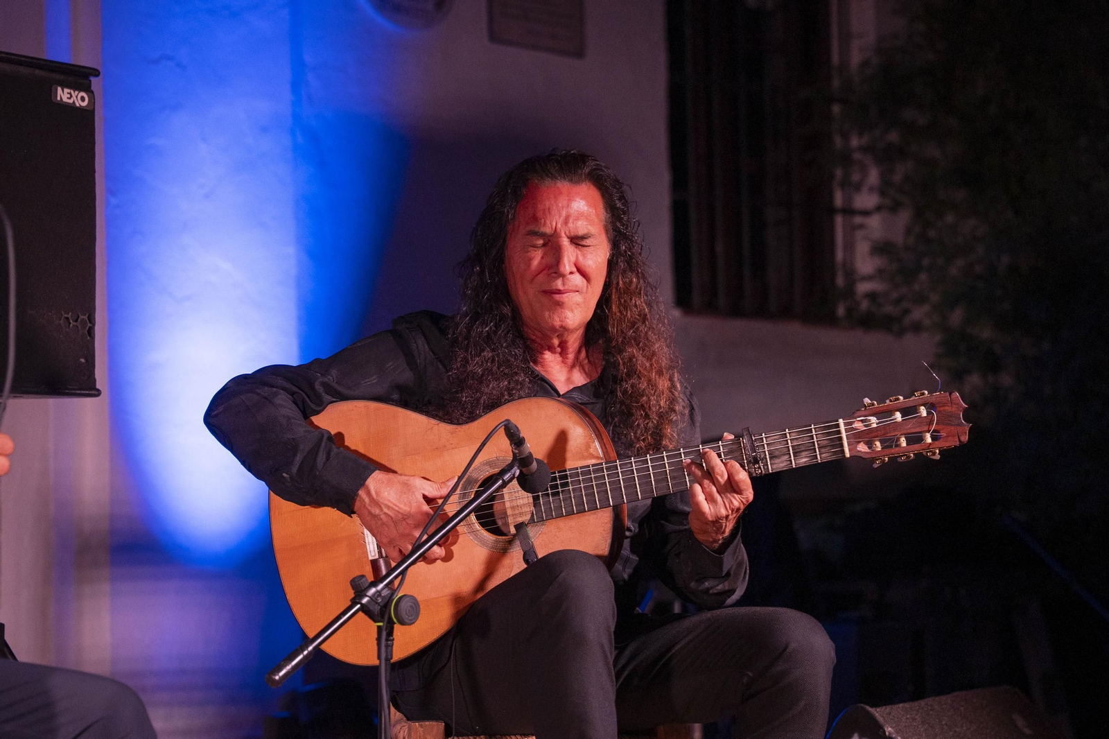 Las mejores imágenes del Festival de Flamenco en Fondón