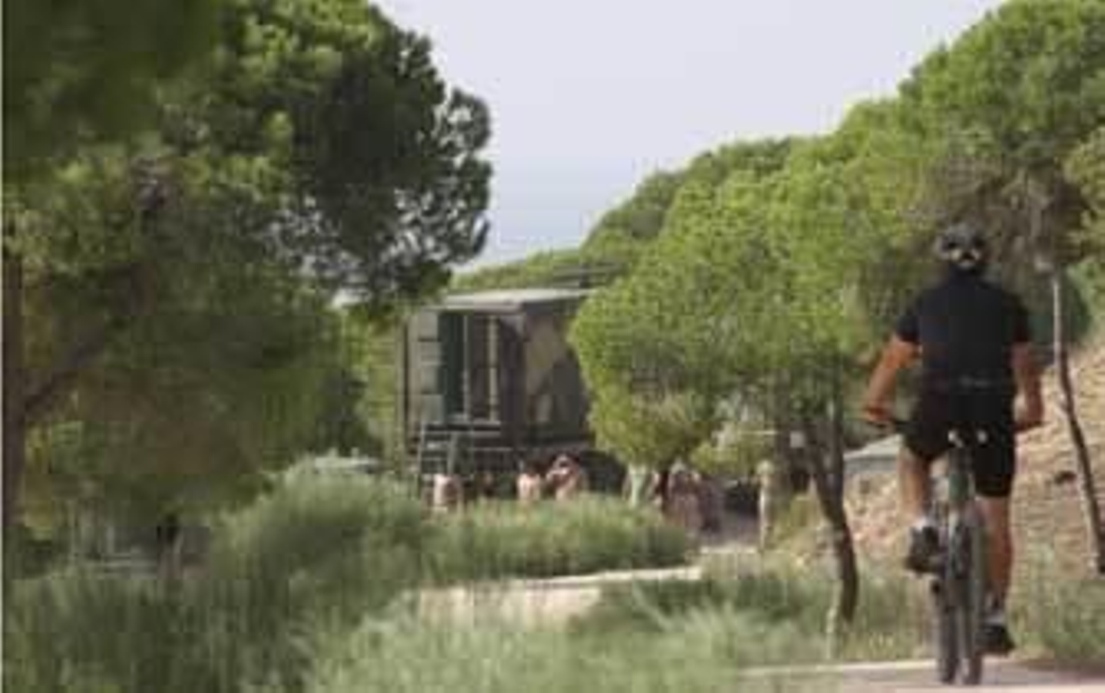 Un ciclista pasea por el parque natural de La Breña, con la presencia de vehículos militares y efectivos en la zona. /Manuel Aragón Pina Un ciclista pasea por el parque natural de La Breña, con la presencia de vehículos militares y efectivos en la zona. /Manuel Aragón Pina