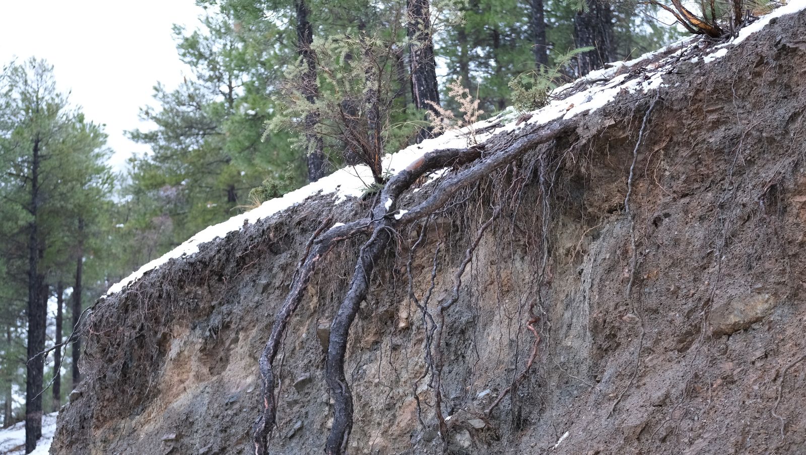 Fotogalería nevada en la Provincia de Almería