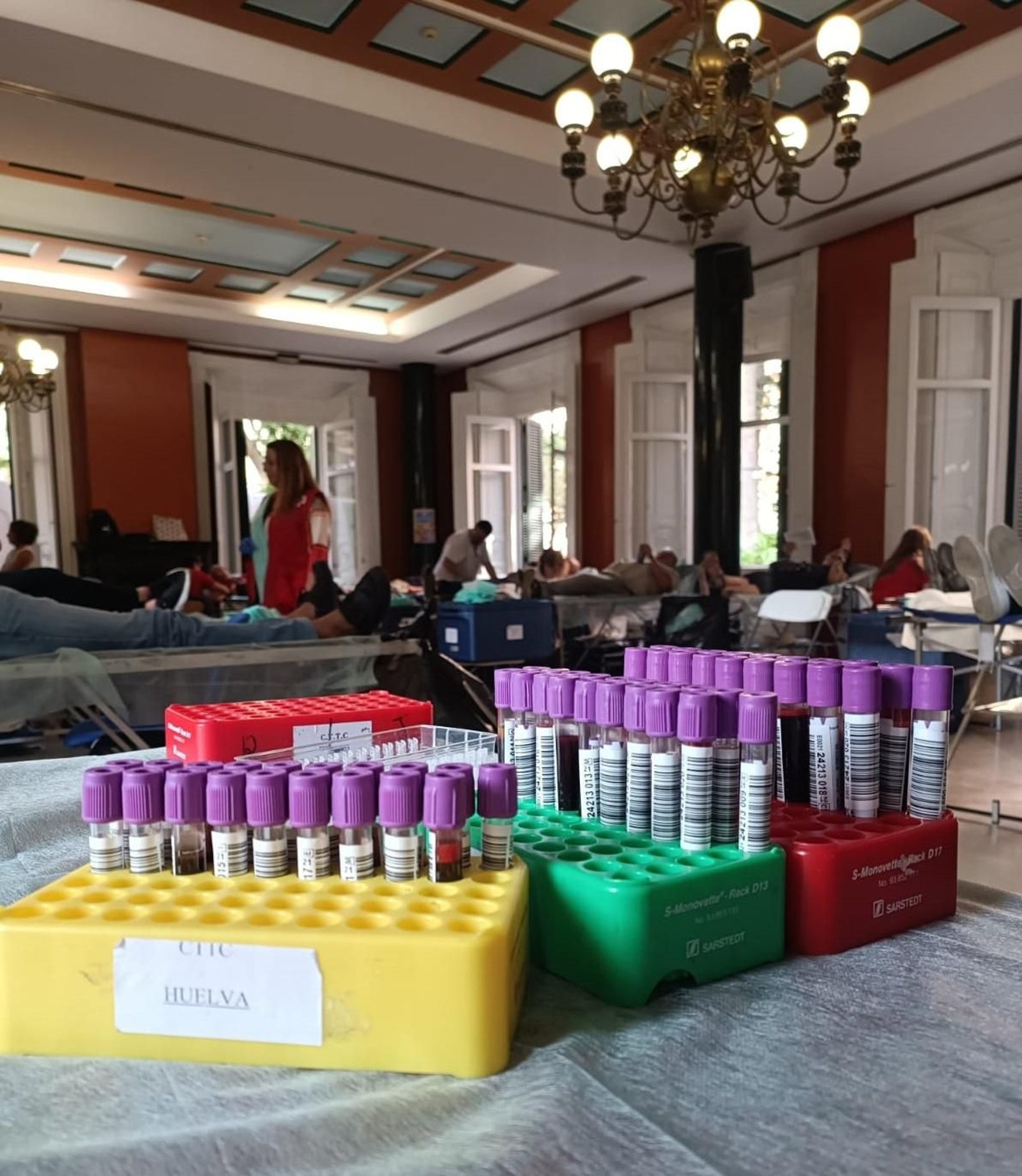 Tubos con muestras de sangre durante una macrocolecta en Huelva.