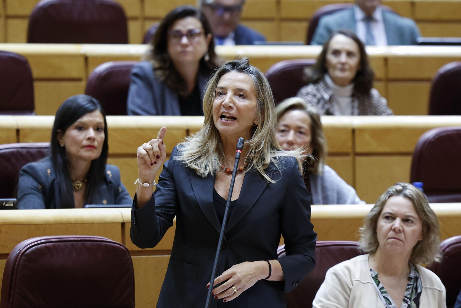 La portavoz del PP en el Senado, Alicia García.