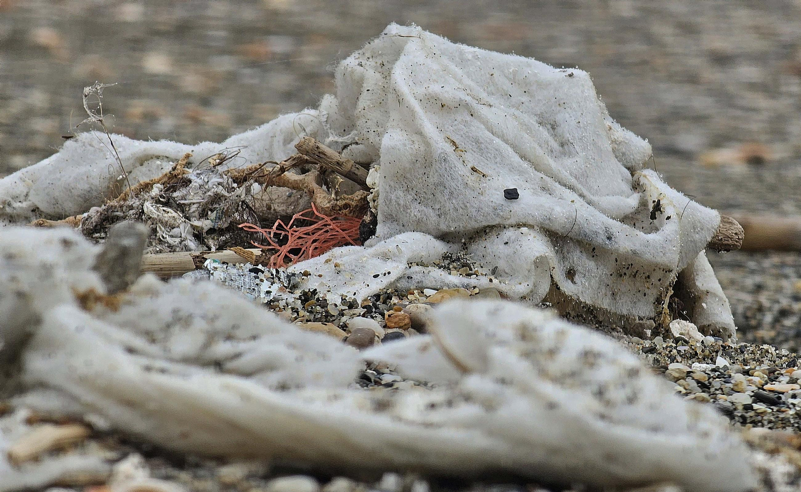 Las toallitas acumuladas en la playa de Levante de La Línea, en imágenes