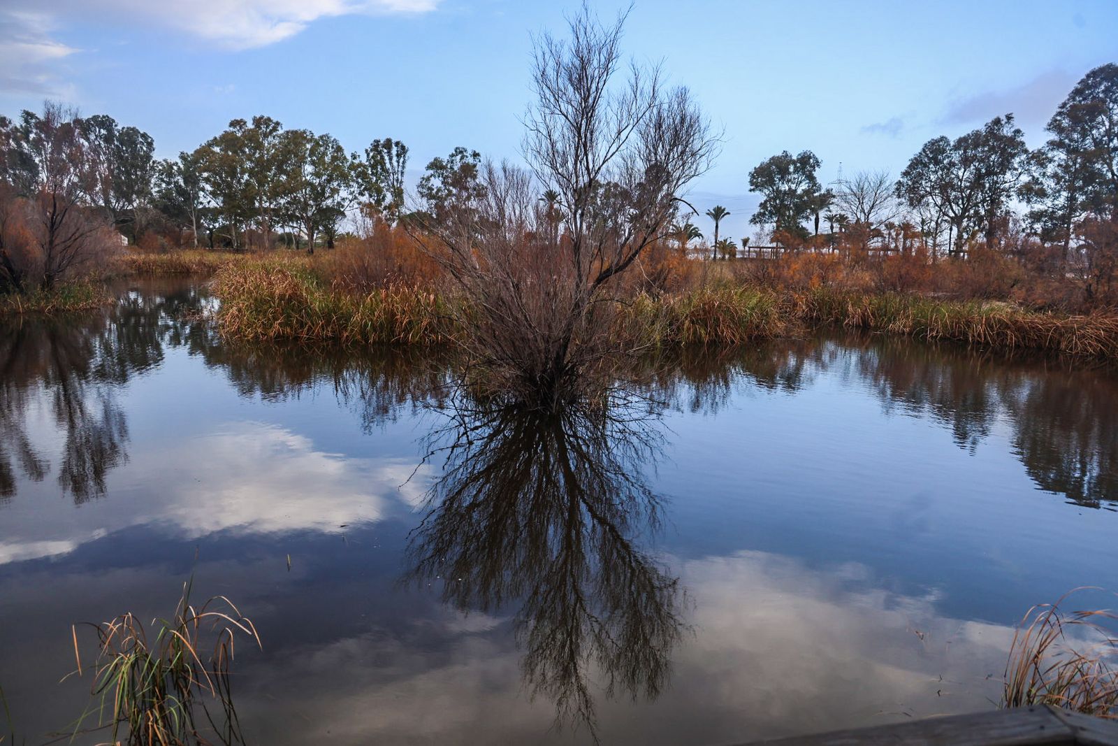 Fotografías de la celebración del Día Mundial de los Humedales