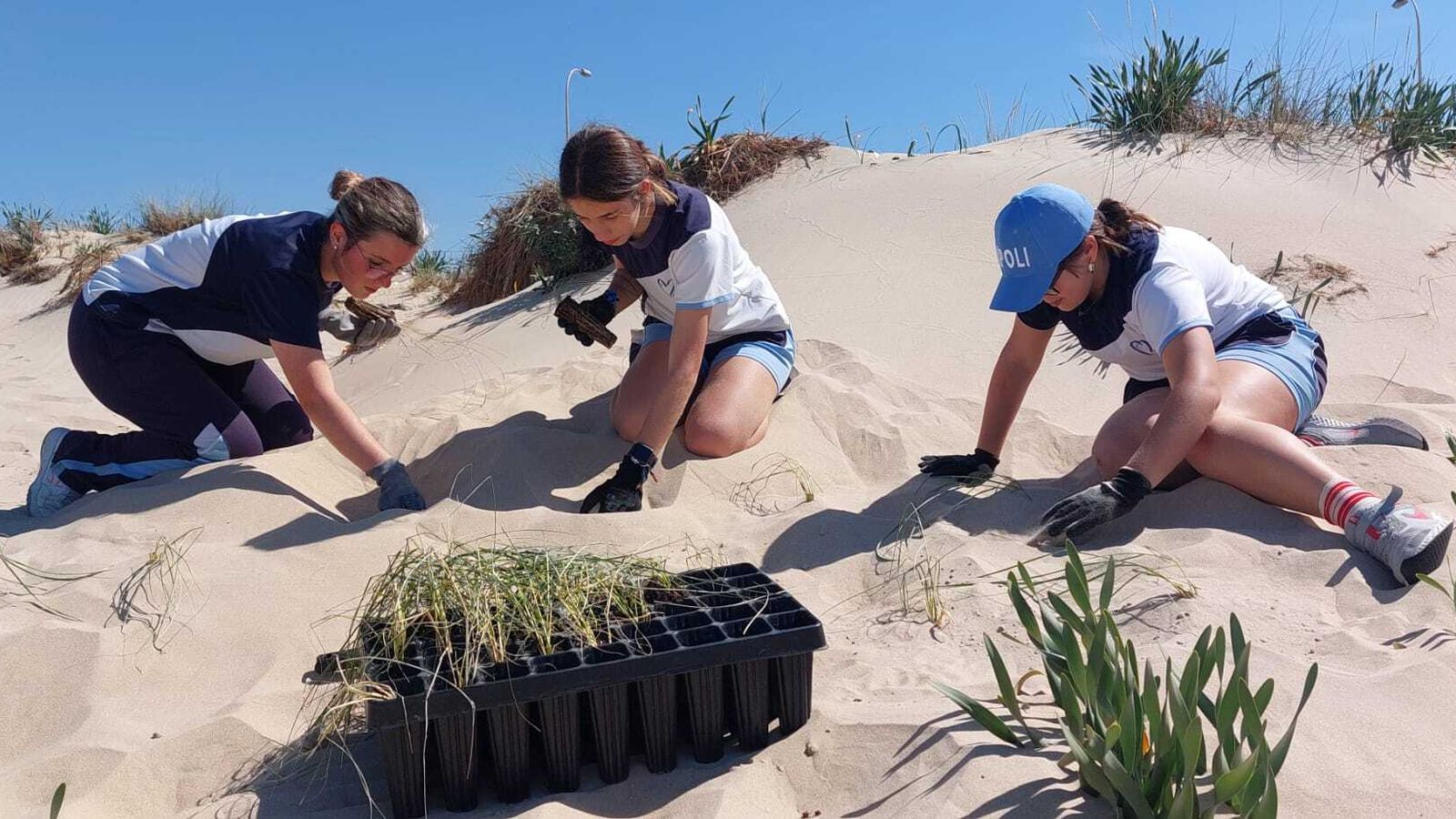 Tres alumnas del colegio Amor de Dios en una de las jornadas de trabajo, como parte de su proyecto “Protección y conservación del ecosistema dunar”.