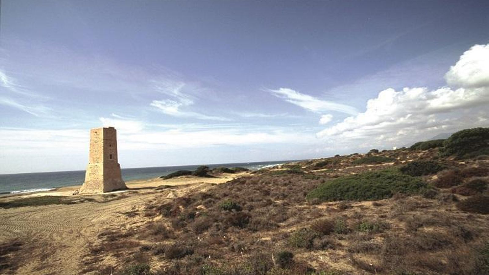 ¿Qué no habrá contemplado la barrera dunar de Cabopino?