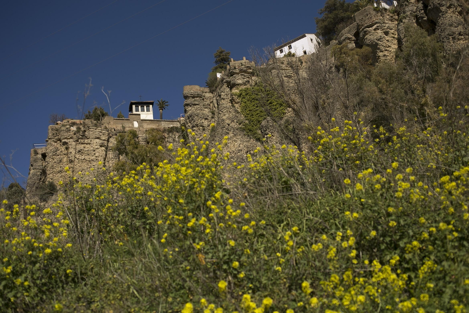 Imágenes de la primavera adelantada en Málaga