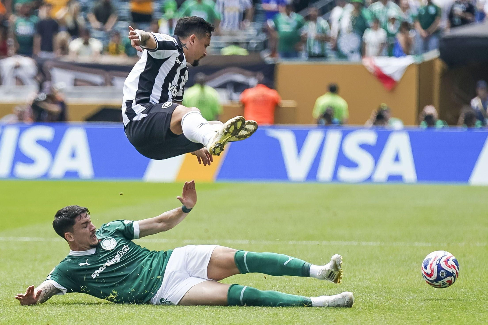 Palmeiras-Botafogo (7).jpg