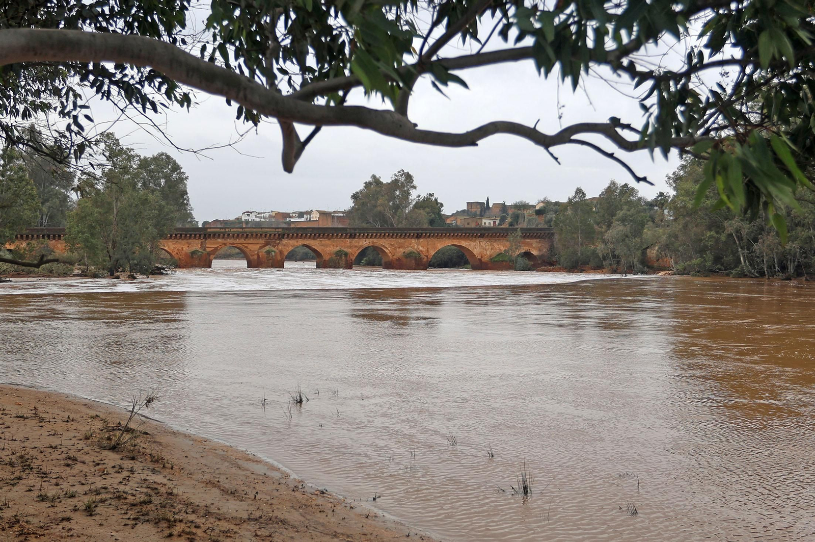 Imágenes del río Tinto a su paso por Niebla tras la borrasca Garoé