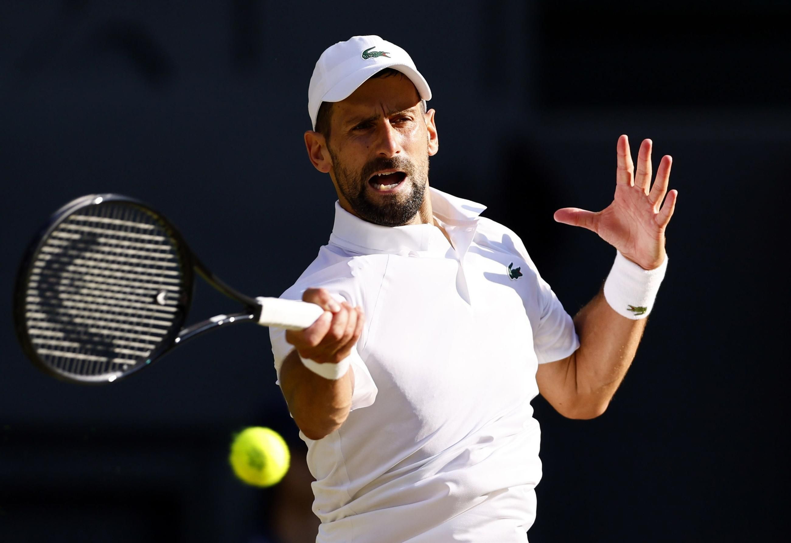 Las mejores imágenes del Sinner - Djokovic Las mejores imágenes del Sinner - Djokovic