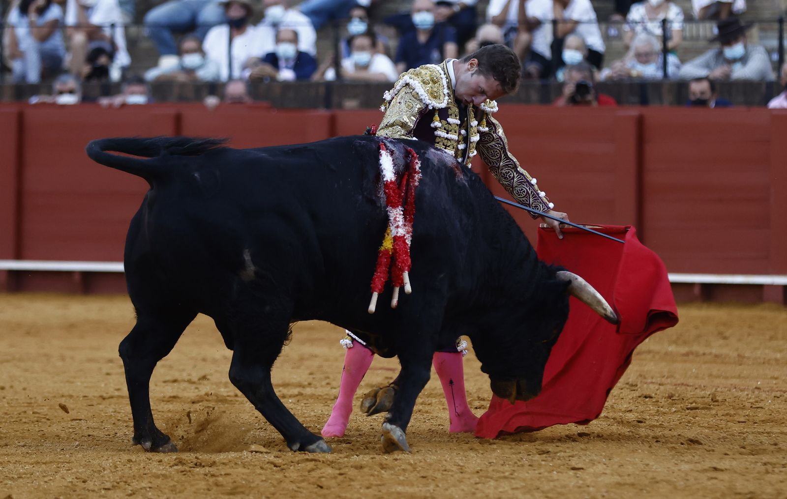 Fotos de la segunda novillada de la feria de San Miguel de Sevilla