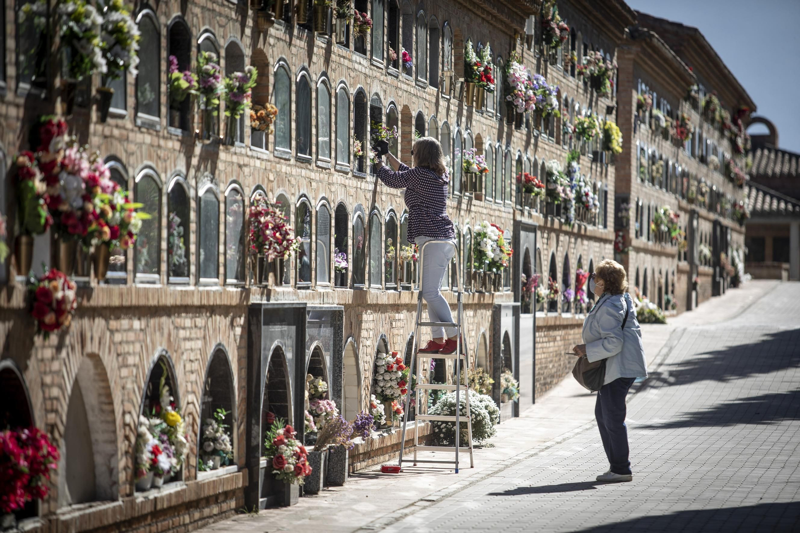 Emucesa aumenta sus servicios casi un 20% durante la pandemia