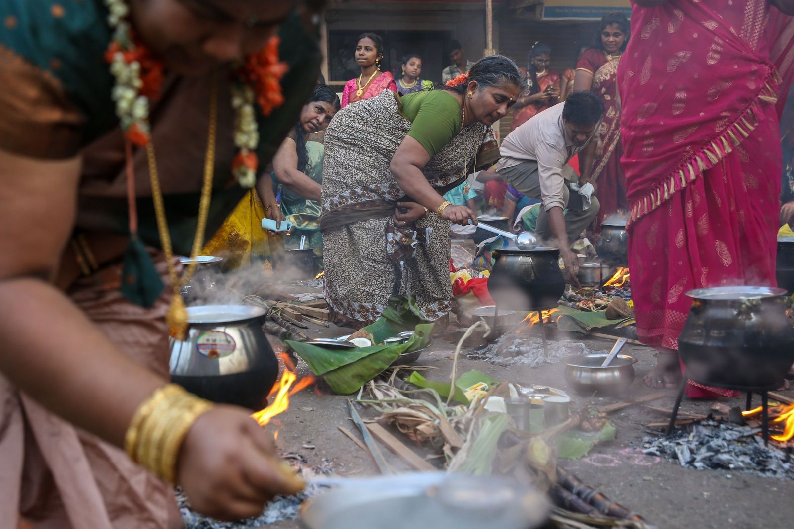Las preciosas imágenes del Festival Thai Pongal en India