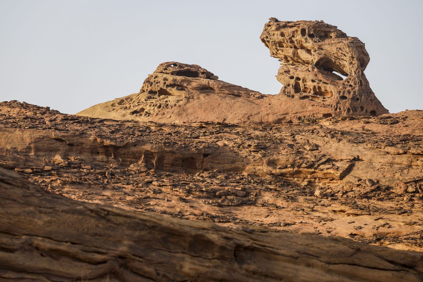 Las mejores fotos del Rally Dakar | Cuarta etapa