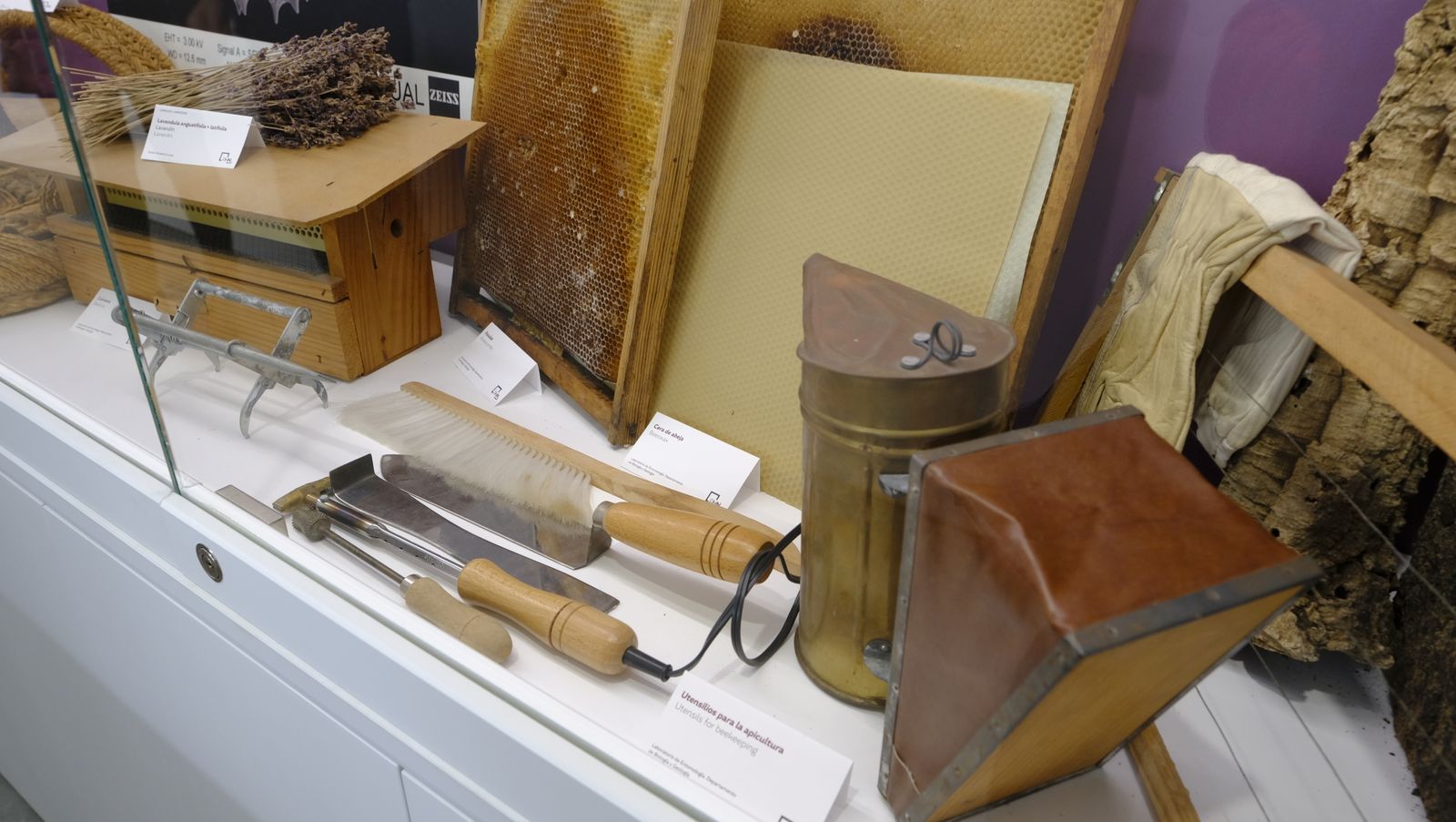 Las mejores imágenes del Pabellón de Historia Natural de la UAL