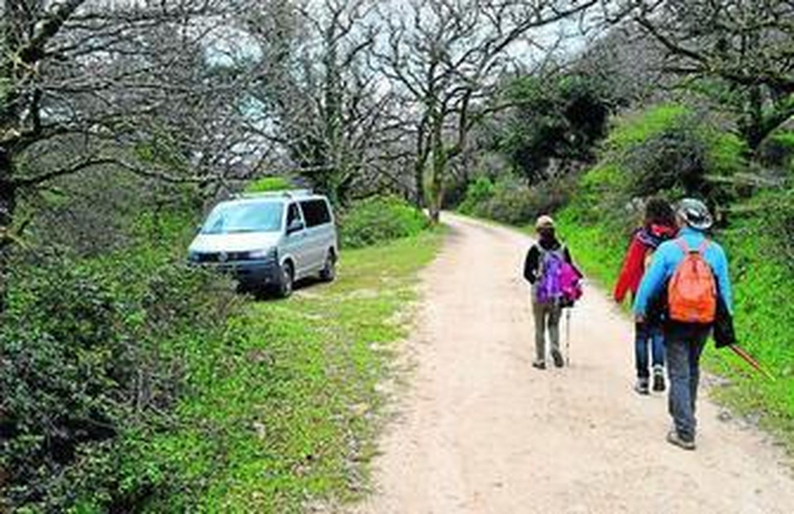 Varios senderistas por el bosque de los Llanos del Juncal.