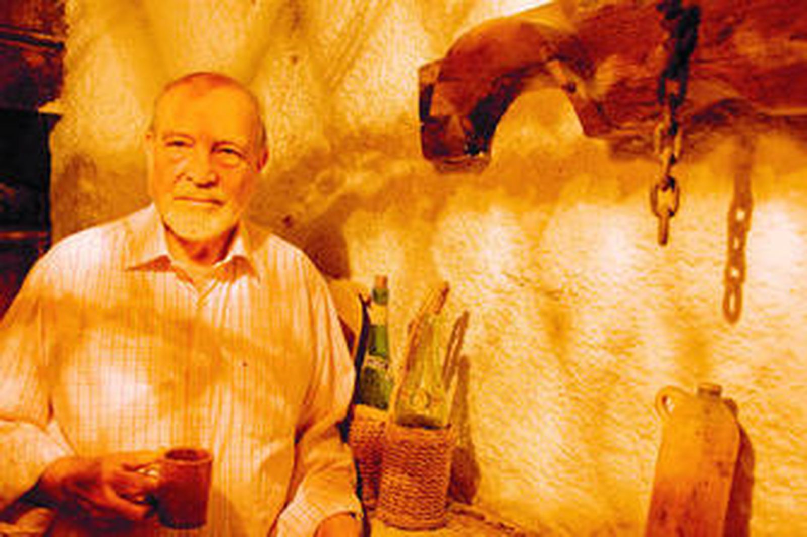 El pintor fiñanero Julio Visconti en su casa de Guadix.