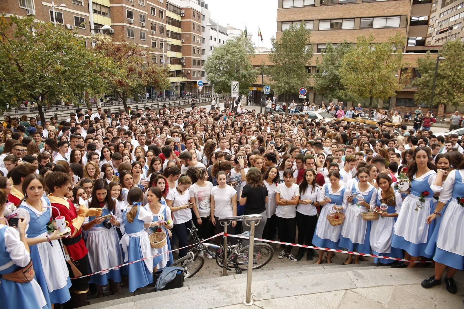 Las imágenes de San Lucas