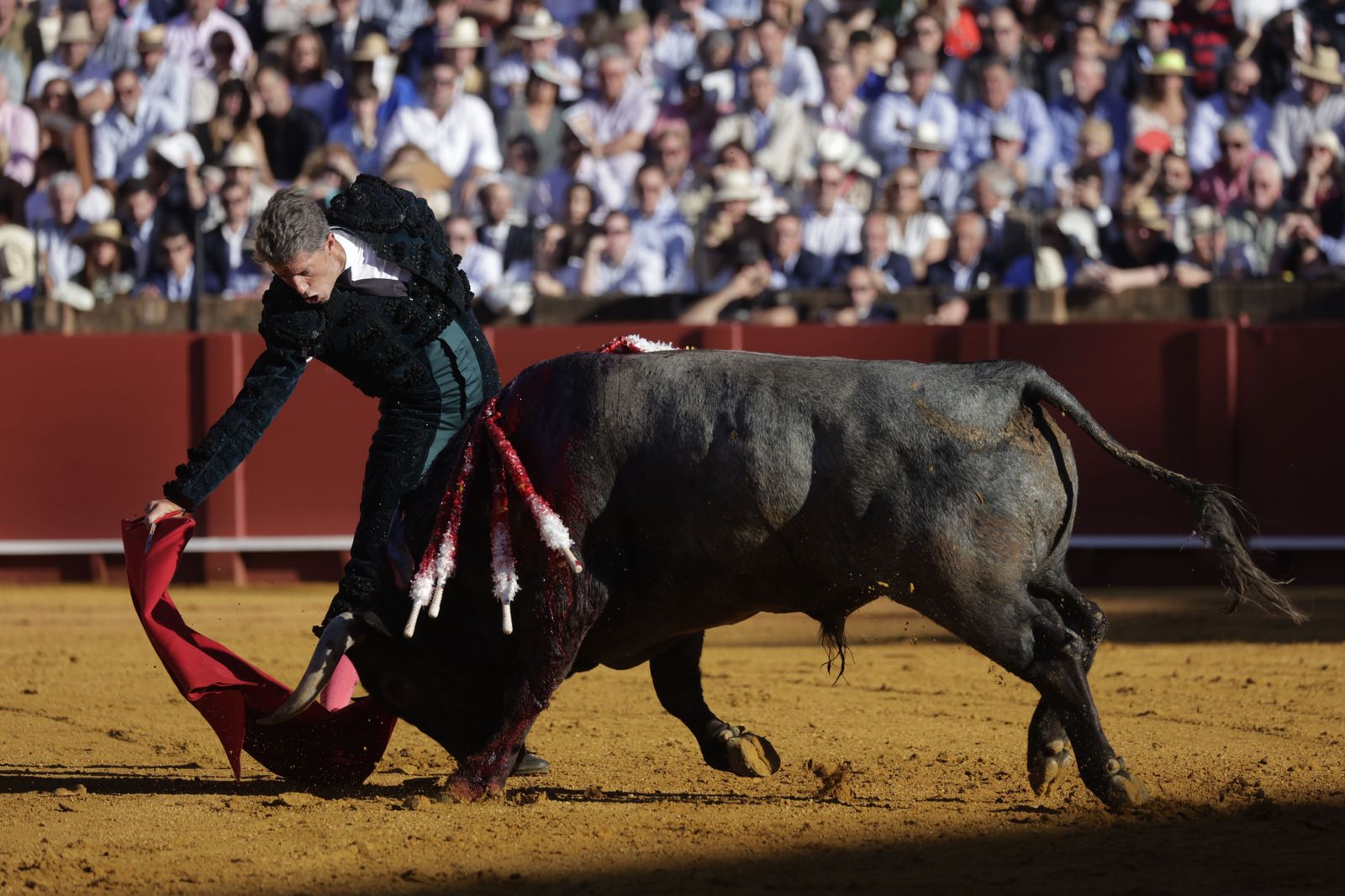 Las imágenes de la corrida de los Victorinos en la Maestranza de Sevilla