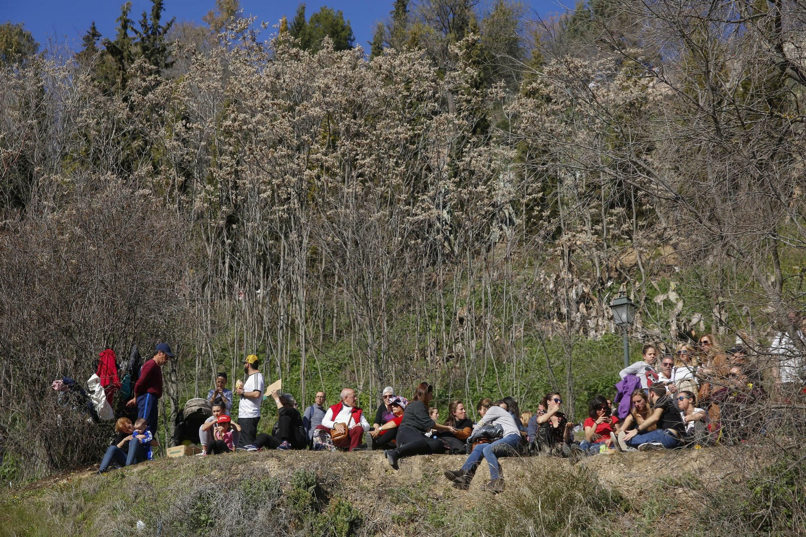 Las mejores imágenes de San Cecilio