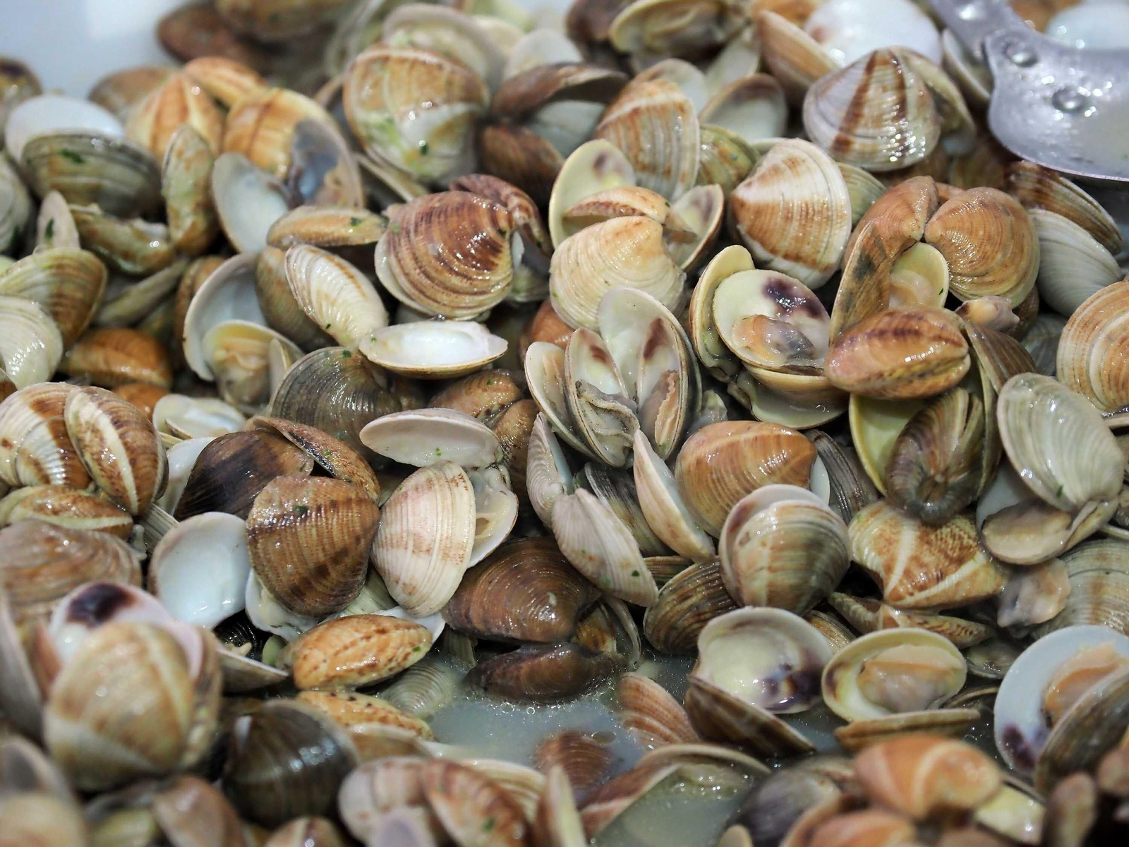 Las mejores fotografías del primer día de la Feria de la Gamba de Punta Umbría
